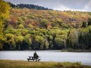 Un feuillage d'automne spectaculaire nécessite une confluence de facteurs : un printemps chaud et humide, un beau temps d'été et des journées d'automne chaudes et ensoleillées avec des nuits fraîches, mais au-dessus du point de congélation.