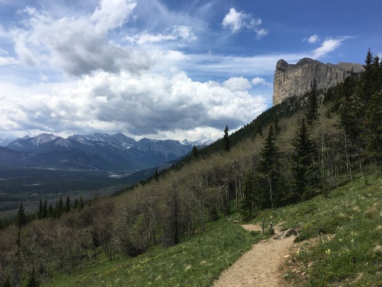 Plusieurs avertissements d’ours en place dans les Rocheuses à l’ouest de Calgary après des rencontres surprises