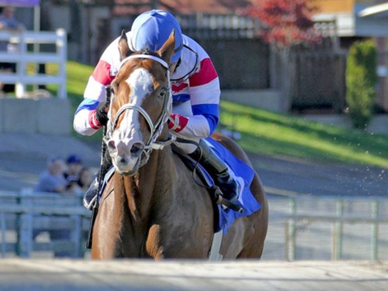 Randy Goulding : dernier week-end de course à l’hippodrome de Hastings