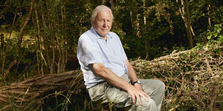 Sir David Attenborough taquine une scène de la nouvelle Planète Terre qui l'a fait retenir son souffle
