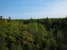 Ceinture de verdure de l'Ontario