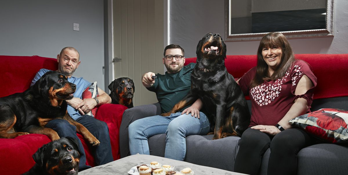 Gogglebox rend hommage au chien des Malone, Dave, après sa mort
