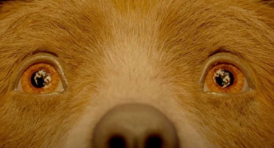 La date de sortie de Paddington 3 annoncée, alors qu'une étoile abandonne
