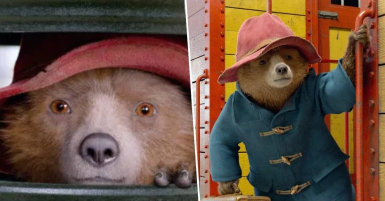 Paddington 3 a enfin une date de sortie et les fans la perdent