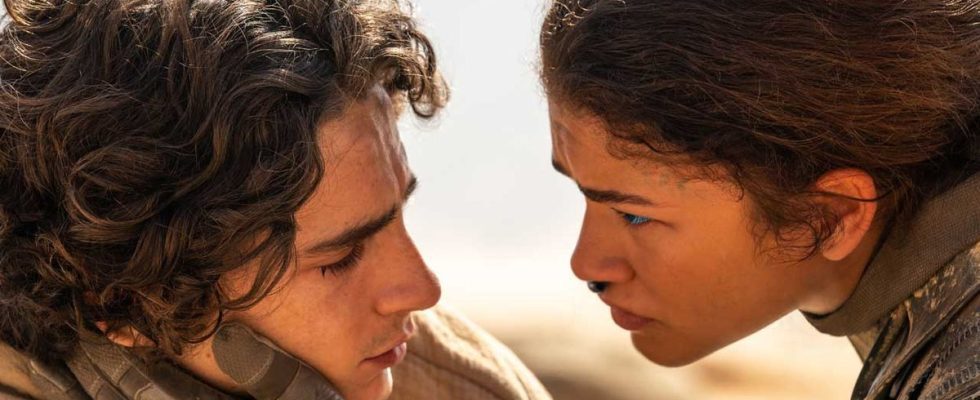 Timothée Chalamet & Zendaya starring in Dune: Part 2