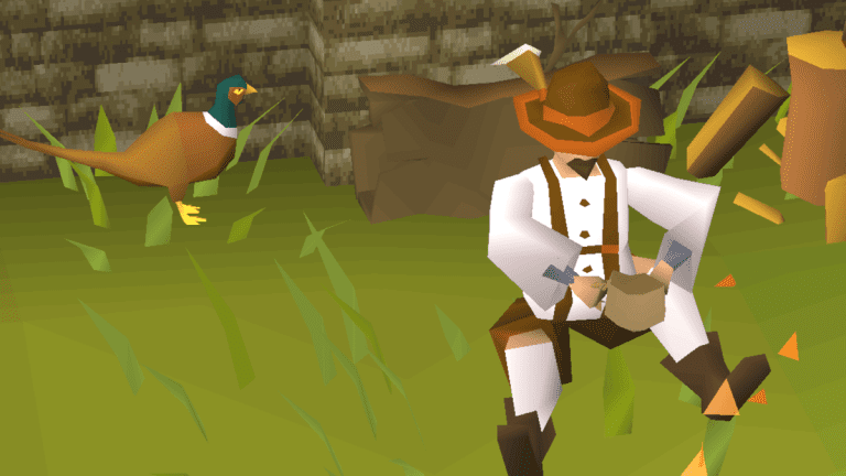 A forester from Old School Runescape, contemplating life next to his pheasant friend on a green field.