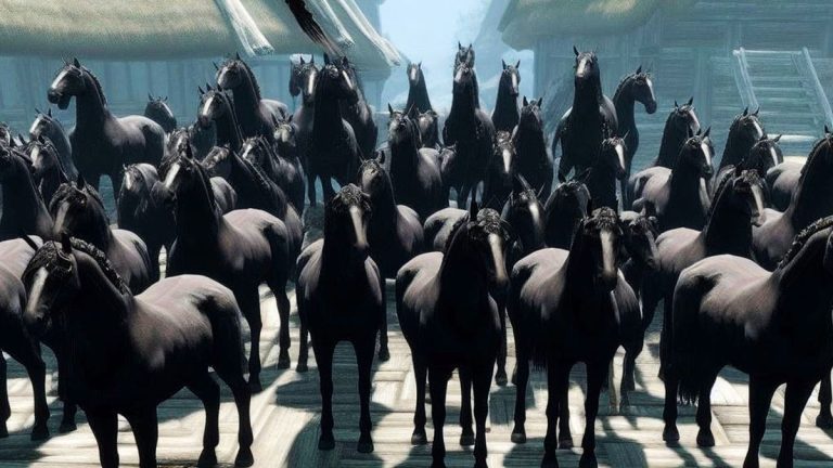 Un fan de Skyrim aux prises avec 25 chevaux qui ruinent les performances à chaque fois qu’il charge son jeu demande de l’aide à la communauté