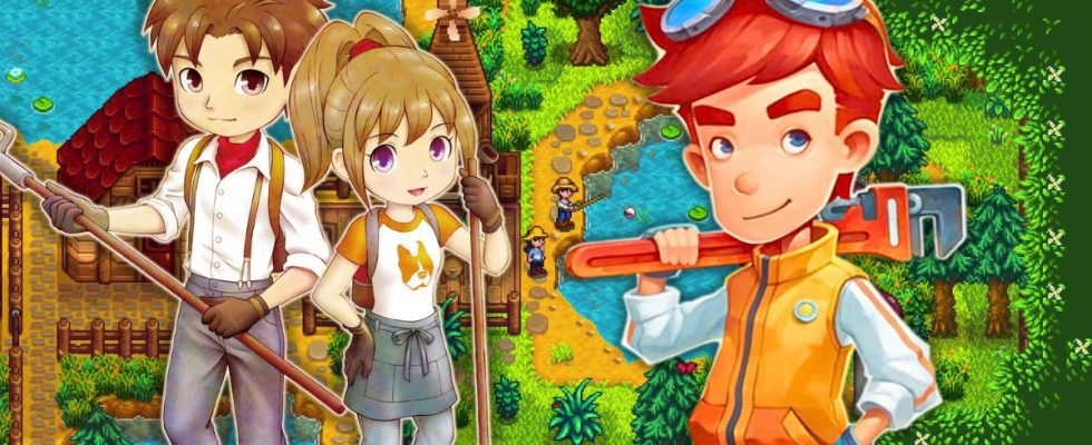 Story of Seasons, My Time at Portia and Stardew Valley