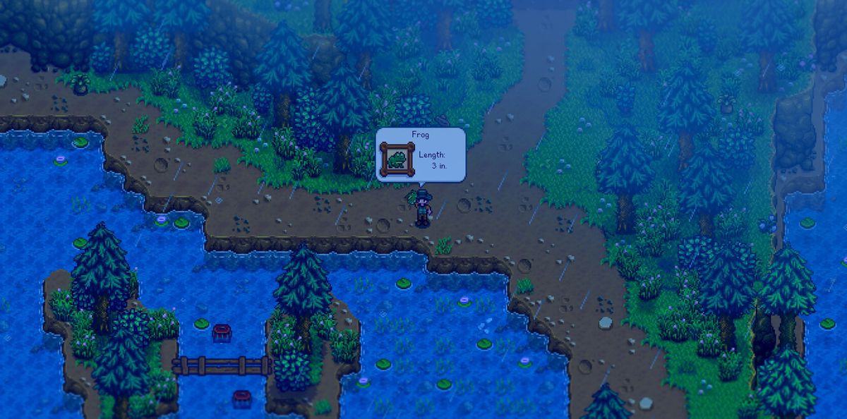 Un joueur de Stardew Valley Expanded attrapant une grenouille ;  c'est un ajout spécifique dans le mod.