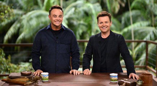 I'm a Celeb confirme que deux arrivées tardives rejoignent le camp