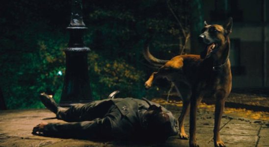 Marko Zaror being peed on by a dog in John Wick: Chapter 4