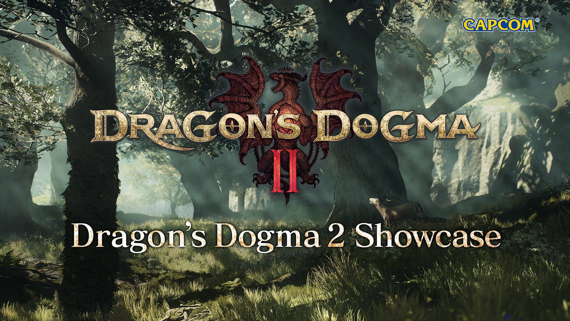 Dragon's Dogma II Showcase 2023 prévu pour le 28 novembre    
