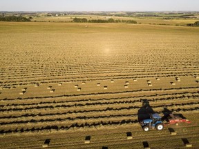 Un agriculteur récolte du foin dans une ferme près de Cremona, en Alberta, le dimanche 16 août 2020.