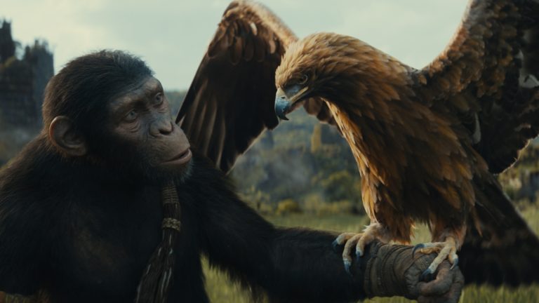 Le réalisateur de Kingdom Of The Planet Of The Apes voulait s'assurer que le film contienne un « petit peu de Star Wars »
