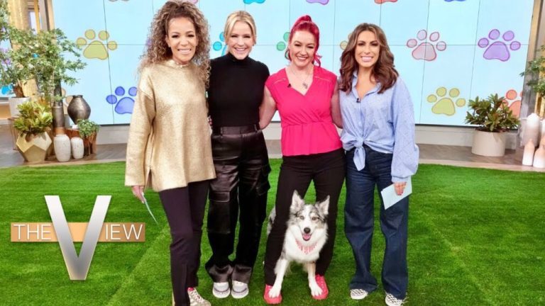 Regardez le duo « Secret Lives of Dancing Dogs » effectuer des mouvements sur « The View »
