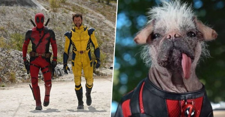 Ryan Reynolds annonce la nouvelle fenêtre de sortie de Deadpool 3 – via Doggo