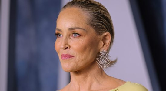 BEVERLY HILLS, CALIFORNIA - MARCH 12: Sharon Stone attends the 2023 Vanity Fair Oscar Party Hosted By Radhika Jones at Wallis Annenberg Center for the Performing Arts on March 12, 2023 in Beverly Hills, California. (Photo by Amy Sussman/Getty Images)