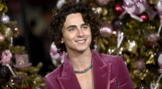 LONDON, ENGLAND - NOVEMBER 28: Timothee Chalamet attends the Warner Bros. Pictures  world premiere of "Wonka" at The Royal Festival Hall on November 28, 2023 in London, England. (Photo by Gareth Cattermole/Getty Images for Warner Bros. Pictures)