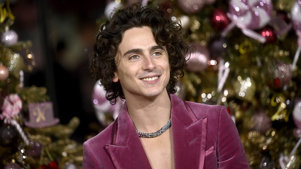 LONDON, ENGLAND - NOVEMBER 28: Timothee Chalamet attends the Warner Bros. Pictures  world premiere of "Wonka" at The Royal Festival Hall on November 28, 2023 in London, England. (Photo by Gareth Cattermole/Getty Images for Warner Bros. Pictures)