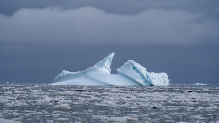 Un réseau neuronal peut cartographier les grands icebergs 10 000 fois plus vite que les humains