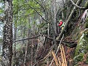 Un hélicoptère de North Shore Rescue et des équipes de sauvetage par corde ont sauvé un randonneur bloqué sur une falaise à l'arrière du mont Fromme le samedi 4 novembre 2023.