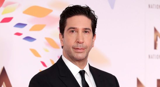 Premier aperçu du nouveau film de la star de Friends, David Schwimmer, Little Death