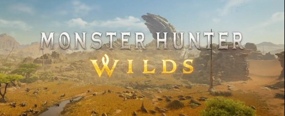 Plusieurs souhaits pour le prochain Monster Hunter Wilds de Capcom