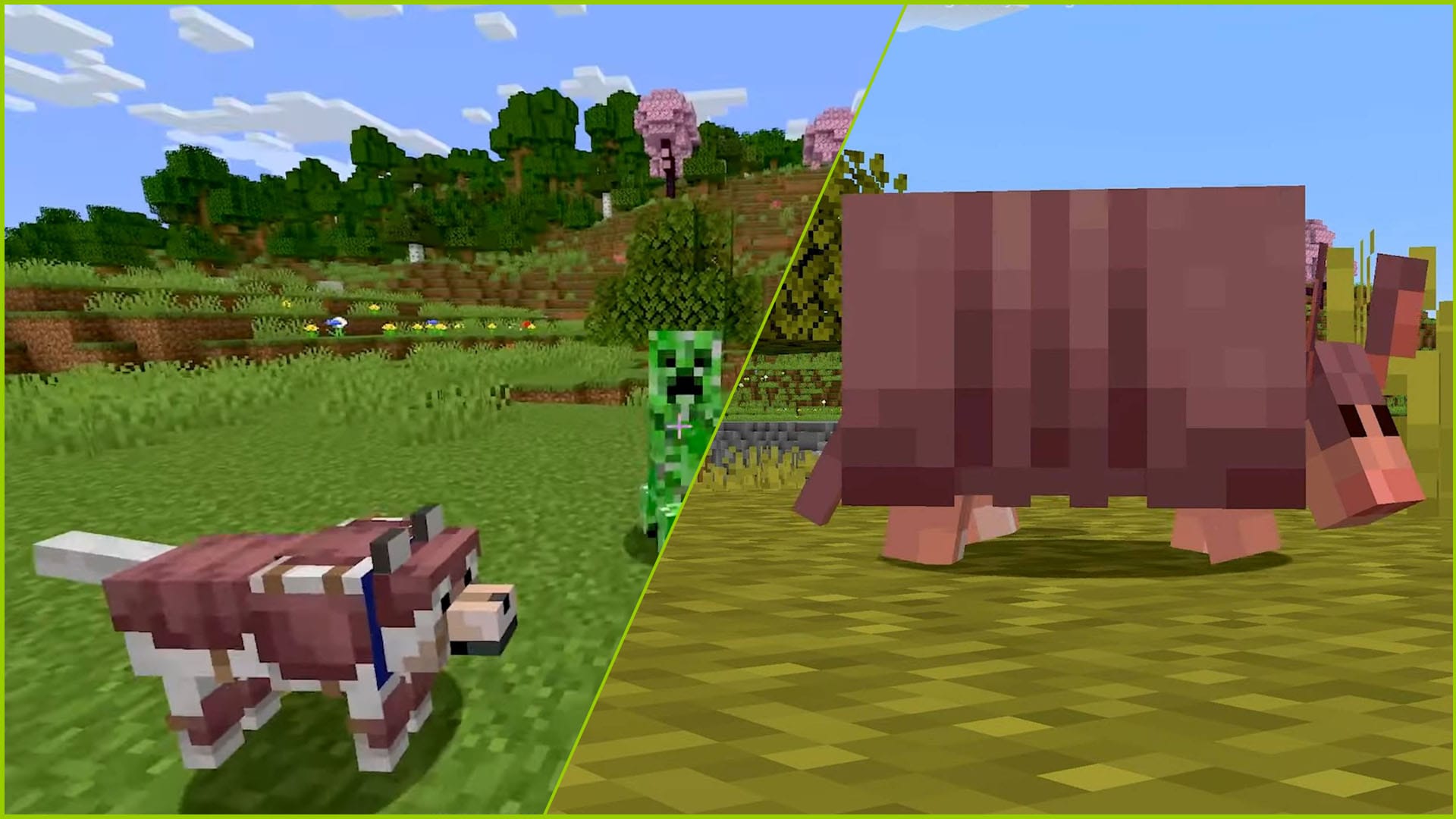 Minecraft présente l'armure de tatou et de loup, disponible maintenant en version bêta et en aperçu
