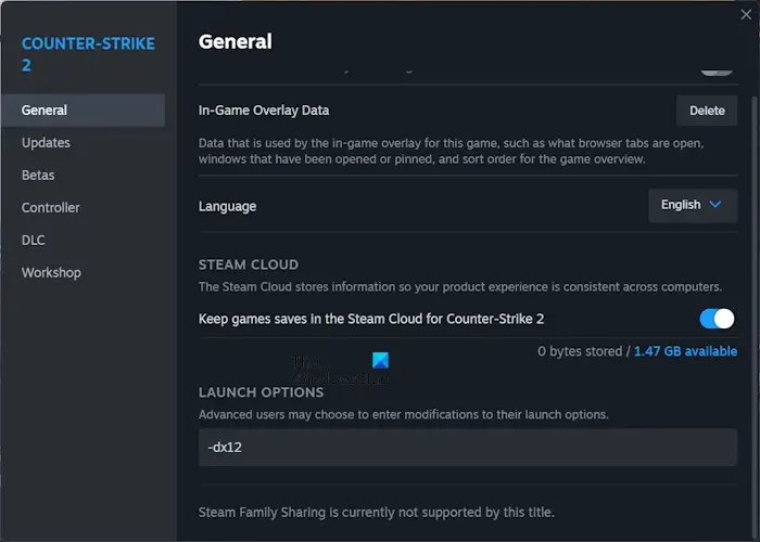 Options de lancement de jeu dans Steam