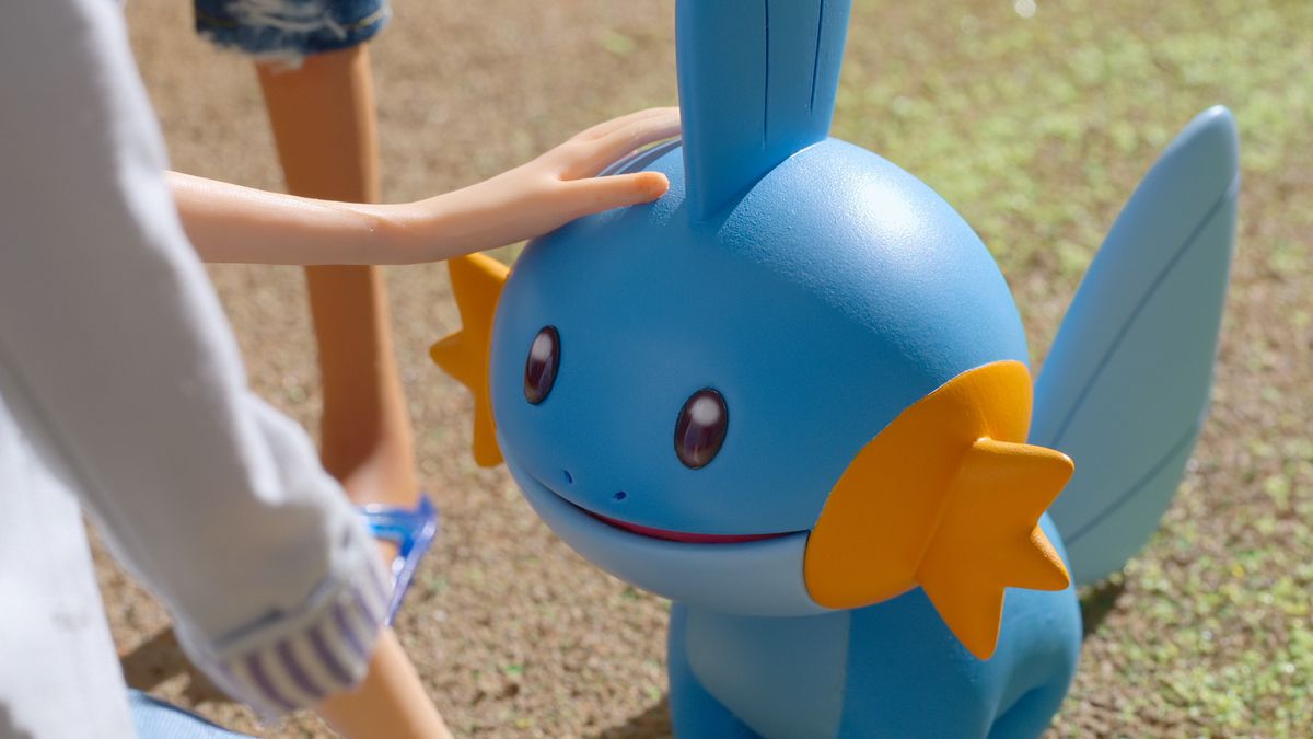 Mudkip reçoit une bonne tape sur la tête.