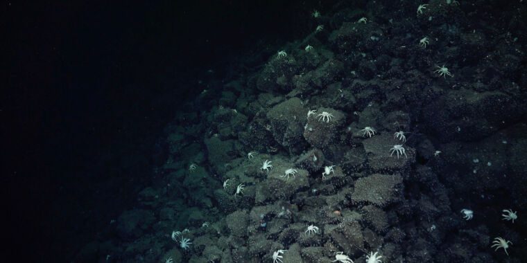 Un mini-Yellowstone d’un autre monde découvert dans les profondeurs marines