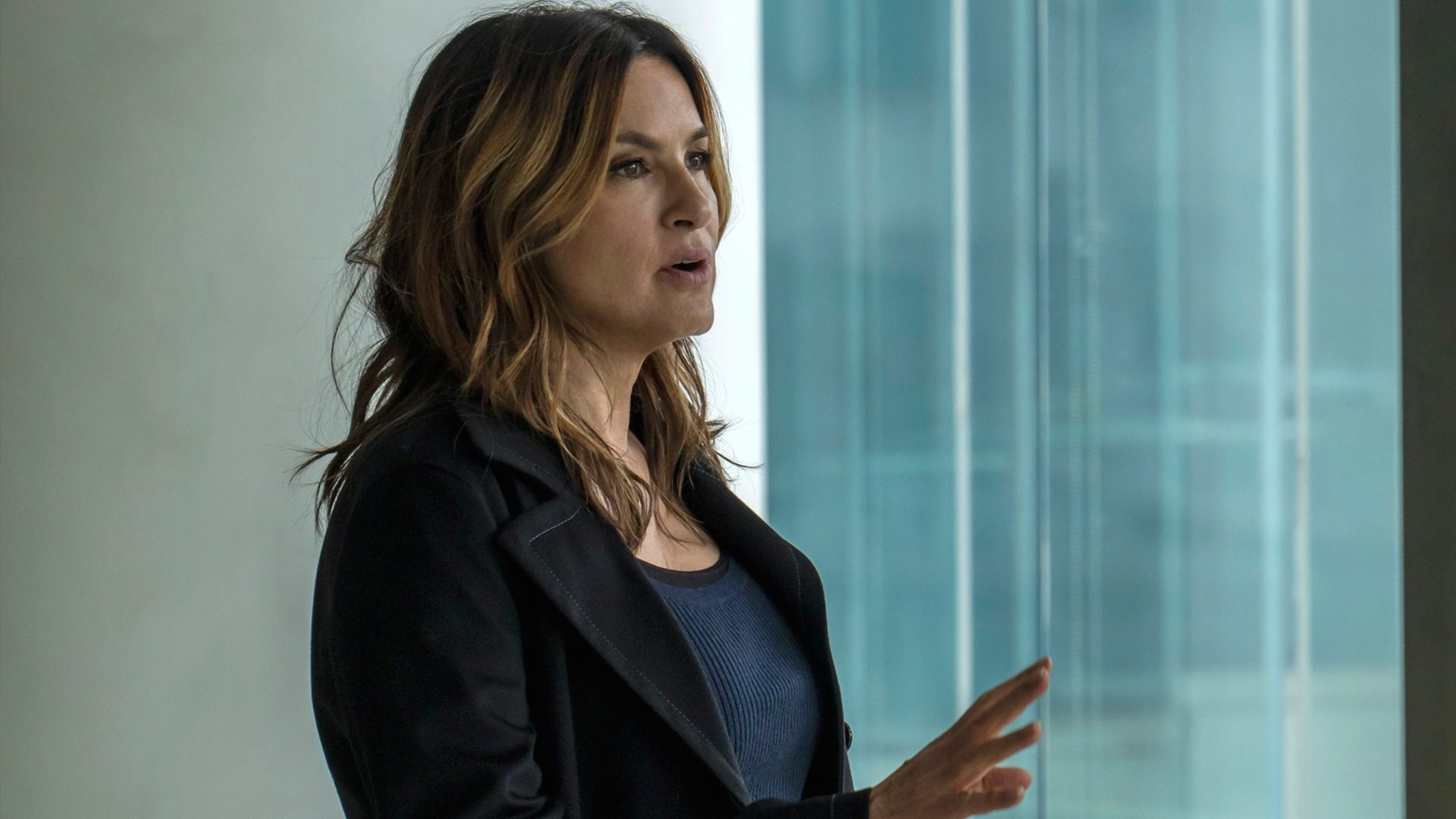 Law & Order: Special Victims Unit TV Show on NBC: canceled or renewed?