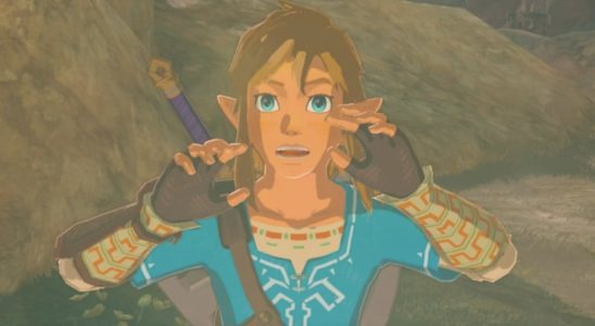 Aléatoire : explorez Hyrule à la première personne avec ce Zelda : TOTK Glitch