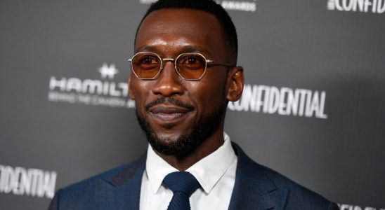 LOS ANGELES, CALIFORNIA - NOVEMBER 13: Actor Mahershala Ali attends the 11th Hamilton Behind The Camera Awards at Avalon Hollywood & Bardot on November 13, 2021 in Los Angeles, California. (Photo by JC Olivera/FilmMagic)