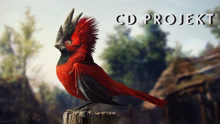 CD Projekt Red n’est pas intéressé par son acquisition ;  pense qu’ils seront plus grands et plus forts dans quelques années