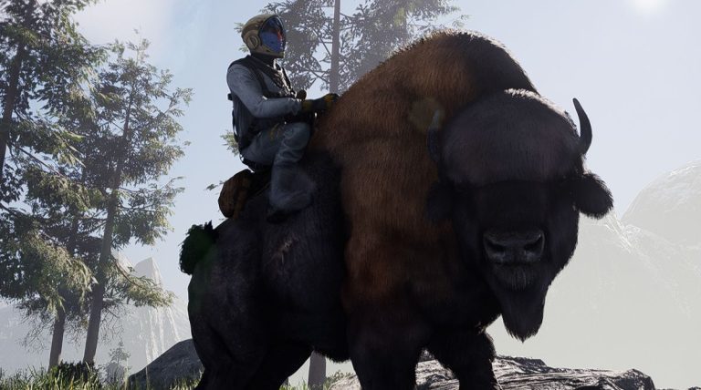 A person riding a buffalo