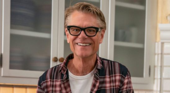 Harry Hamlin in