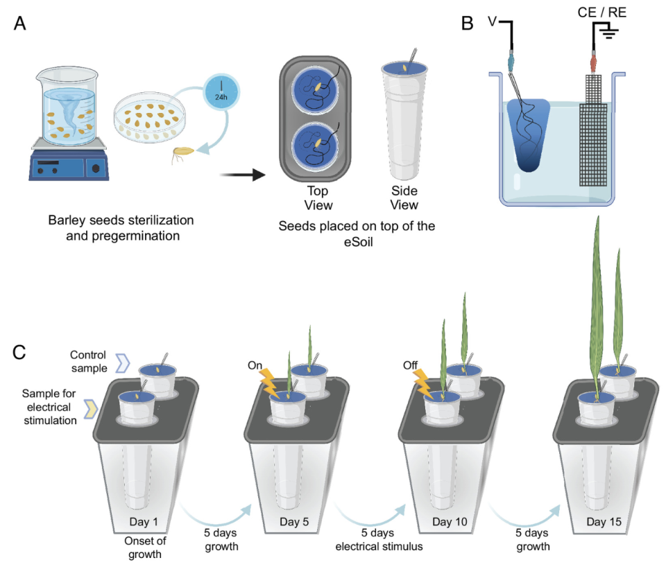 PNAS