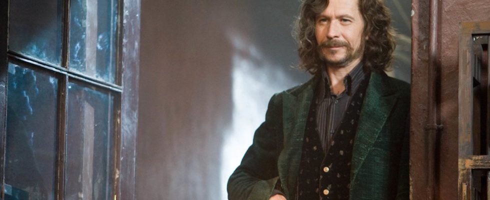 Gary Oldman dit que Harry Potter et le Chevalier Noir l'ont "sauvé"