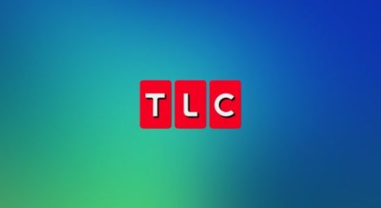 Journaux de 90 jours, Ma vie de 600 livres, 7 petits Johnson, dites oui à la robe : TLC définit les retours 2024 de dix séries télévisées