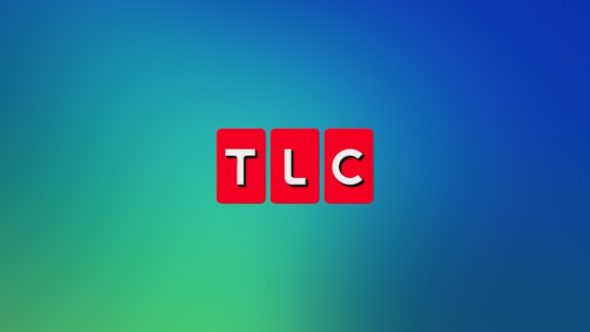 Journaux de 90 jours, Ma vie de 600 livres, 7 petits Johnson, dites oui à la robe : TLC définit les retours 2024 de dix séries télévisées
