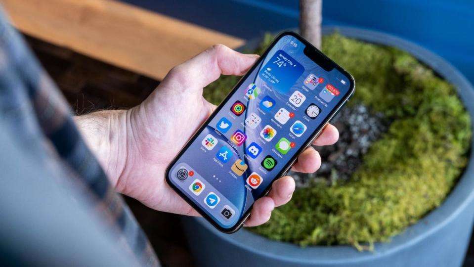 Photo prise autour de l'épaule droite d'une personne, regardant un iPhone (sur son écran d'accueil) dans la main gauche de la personne.  Une plante en pot se trouve derrière.