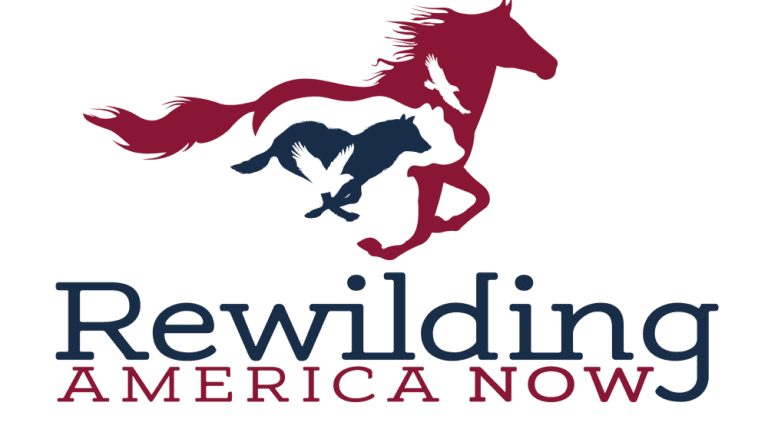 Rewilding America Now