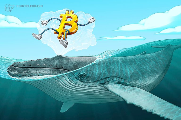 Niveaux de prix du BTC à surveiller alors que le marché des baleines Bitcoin « attire » à 42 000 $