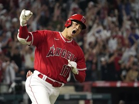 DOSSIER – Shohei Ohtani des Angels de Los Angeles célèbre alors qu'il termine premier après avoir réussi un home run de deux points lors de la septième manche d'un match de baseball contre les Yankees de New York le lundi 17 juillet 2023, à Anaheim, en Californie. Shohei Ohtani est un favori pour remporter son deuxième prix de joueur le plus utile de l’AL, le jeudi 16 novembre 2023.