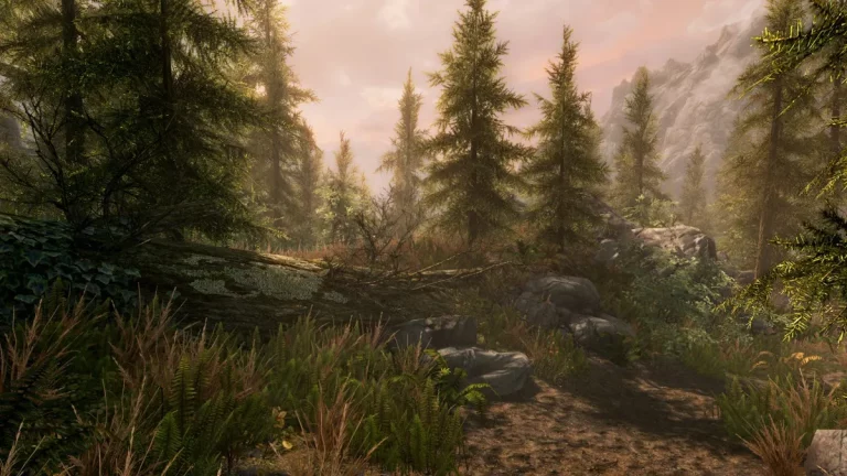 Skyrim: a beautiful scene showing tress during dusk.