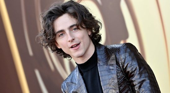 Timothee Chalamet déclare que Spider-Man 2 est son jeu de l'année et qualifie la bande-annonce de GTA 6 de « noueuse »