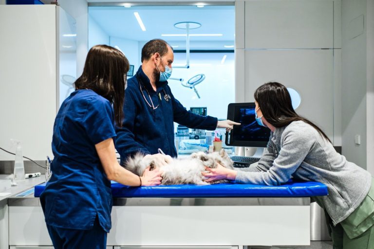 Traitement du cancer du chien ImpriMed vise à étendre sa technologie d’IA à l’oncologie humaine