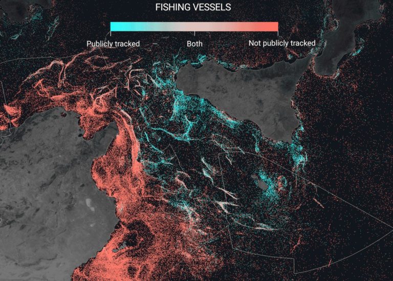 L’analyse des images satellite montre l’immense industrie de la pêche noire