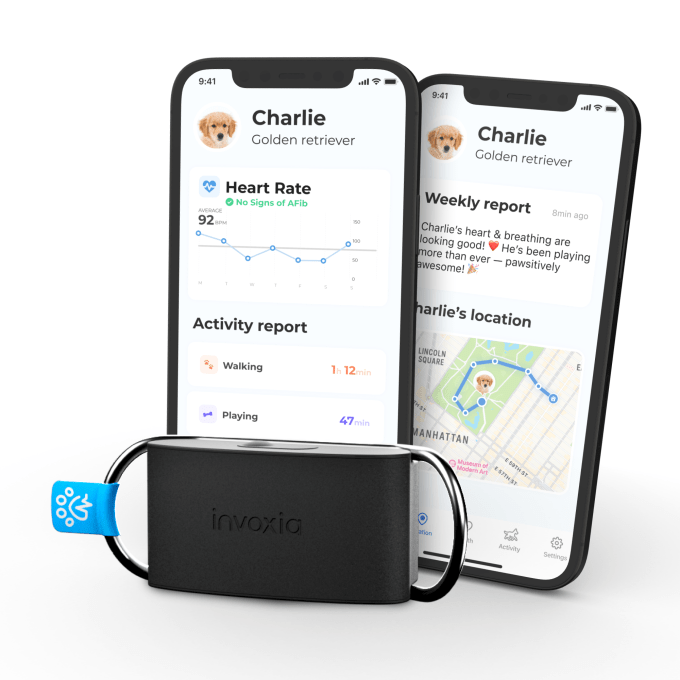 L'application compagnon de l'appareil Minitailz d'Invoxia vous montre les données de santé et d'activité de votre animal de compagnie